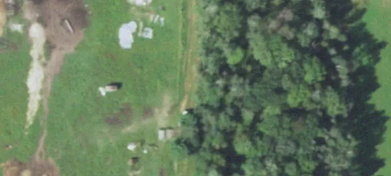 Hunting Land with River Access
