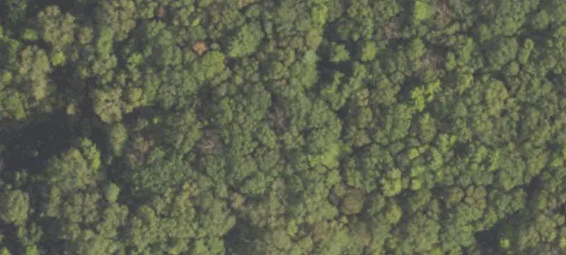 Rural Recreational Land