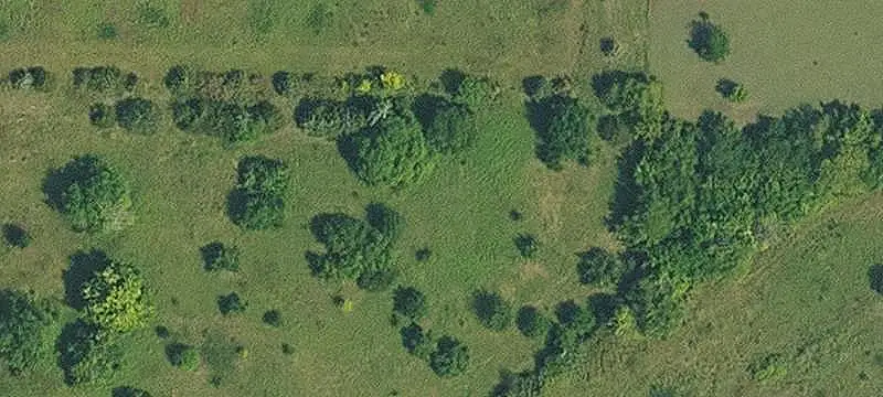 Rolling Farmland with Road Frontage