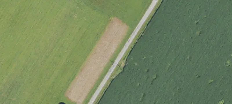 17.56-Acre Cropland Parcel