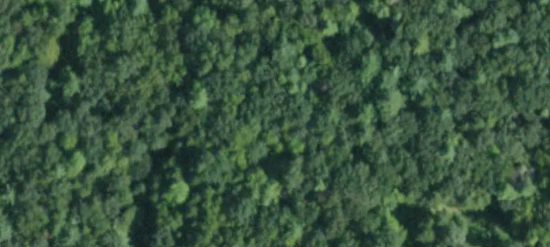 Unimproved Land