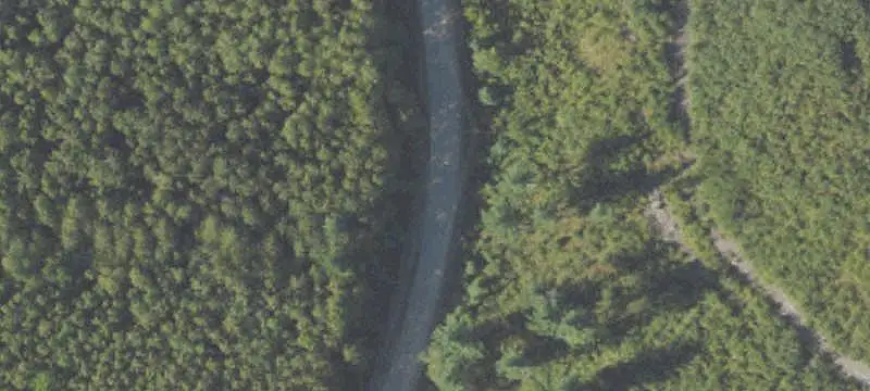 Wooded Hunting Land with Trails