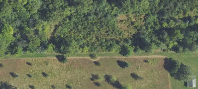 Land/Lot