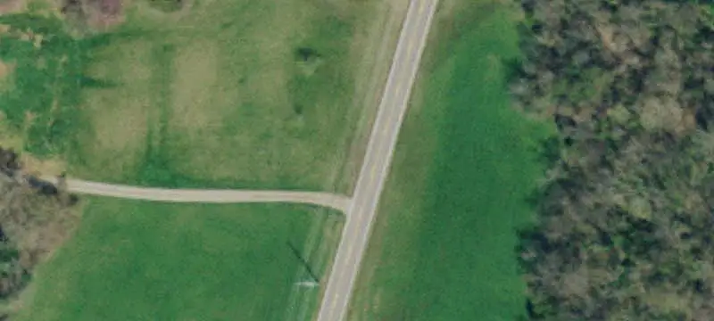 Partially Cleared Farmland
