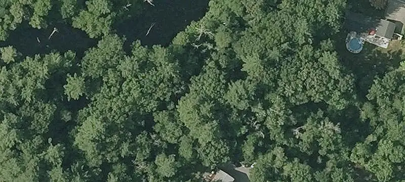 Wooded Acreage Duplex