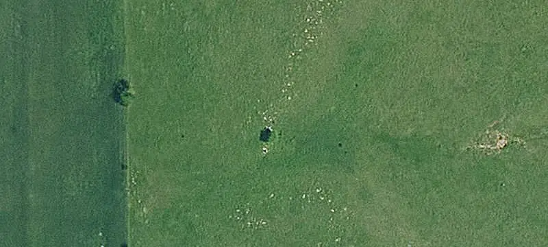 Pasture Farmland with Water Sources