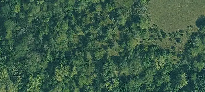 Vacant Land