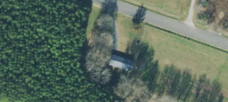 Agricultural Land with Timber