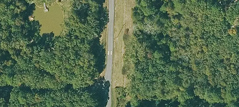 Wooded Agricultural Land
