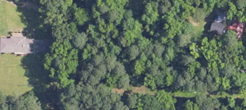 Wooded Acreage Tract