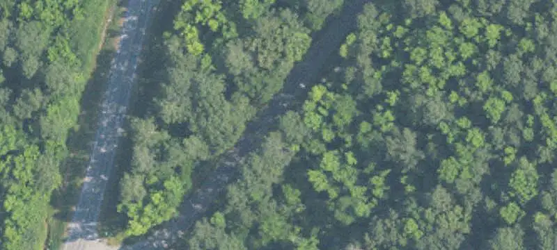 Highway-Frontage Land
