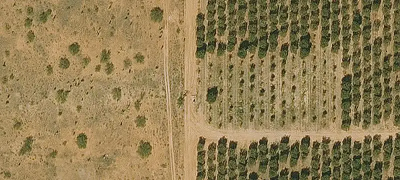 Land/Lot