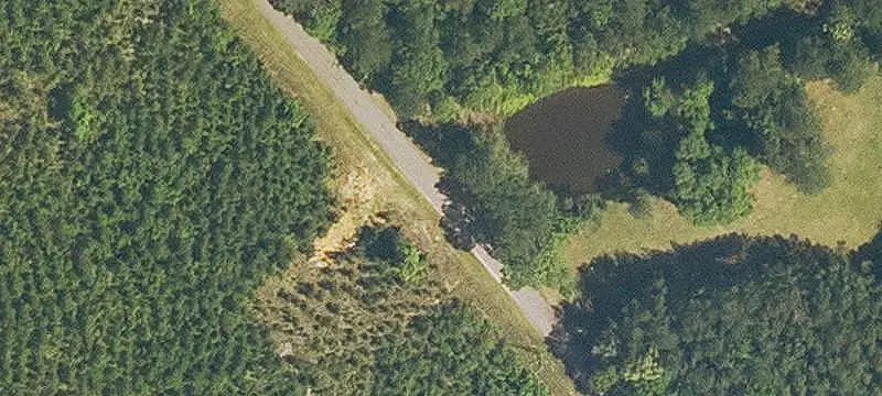 Wooded Hunting Land