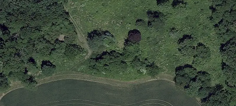 Agricultural Land with Creek