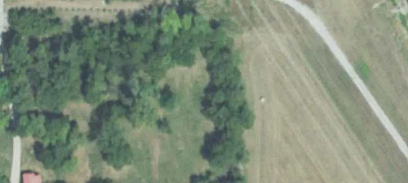 Agricultural Land Along Creek