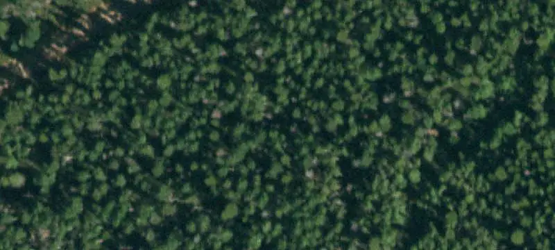 Land/Lot