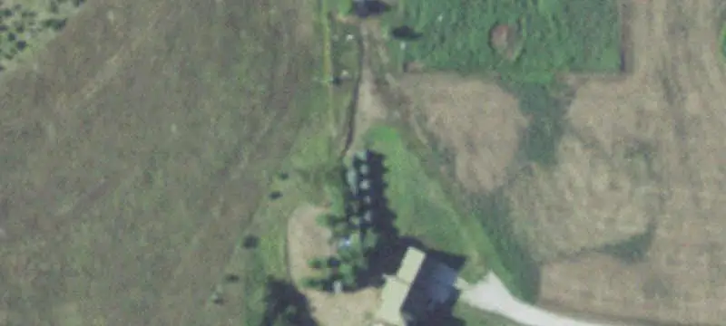 Established Winery Vineyard