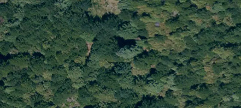 Forested Recreation Land with Cabin