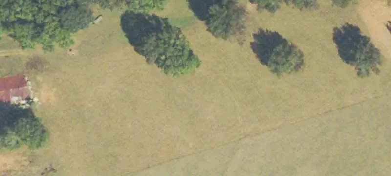 Agriculture