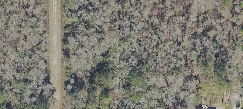 Land or Vacant Lot