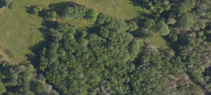 Wooded Hunting Land