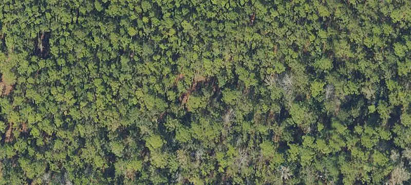 20-Acre Agricultural Land