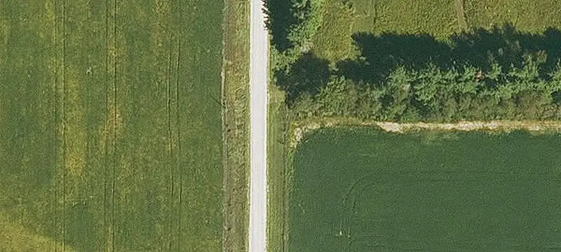 Hunting Land With Managed Habitat