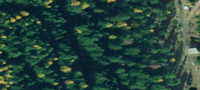Land/Property