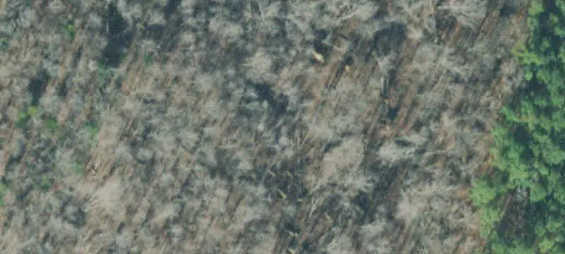 Land Parcel