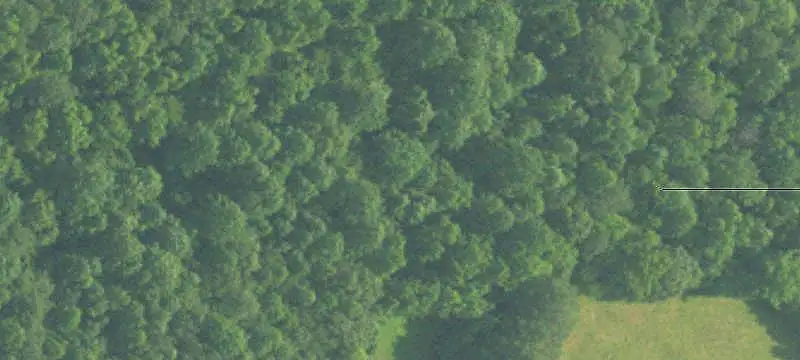 Wooded Land Tract