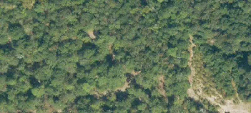 Unimproved Land