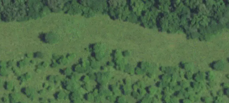 Mixed Pasture And Timber Farmland