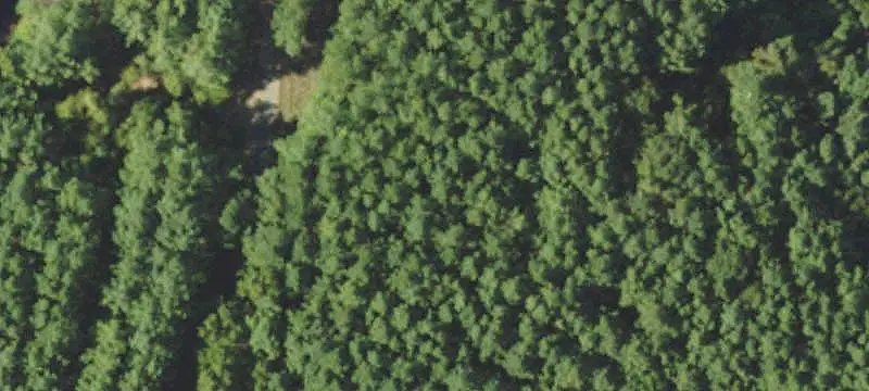 Vacant Land / Lots