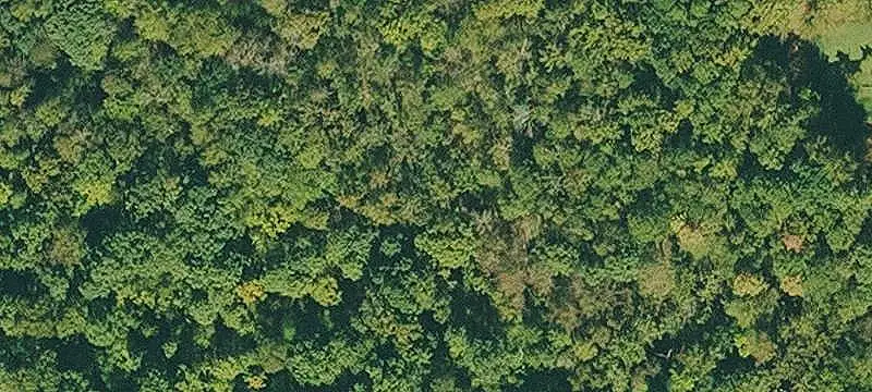 Wooded Recreation Land