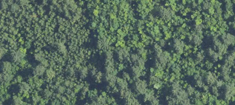 Conservation Easement Hunting Land