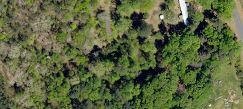 Replanted Pine Recreation Land