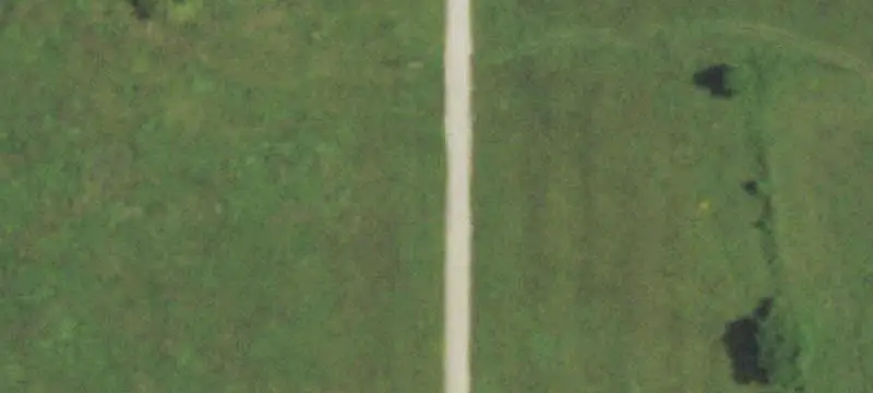 Agricultural Land with Timber
