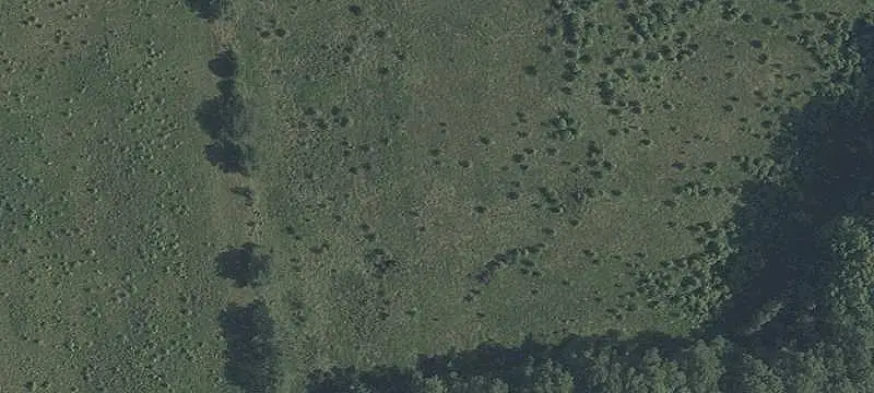 Rural Farmland With Existing Improvements
