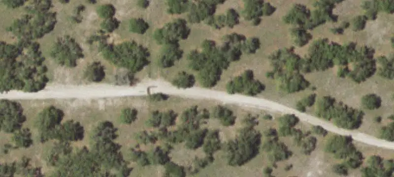 Improved Hill Country Ranch