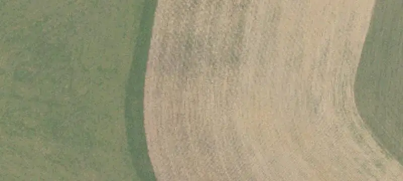 Working Farm with Multiple Barns