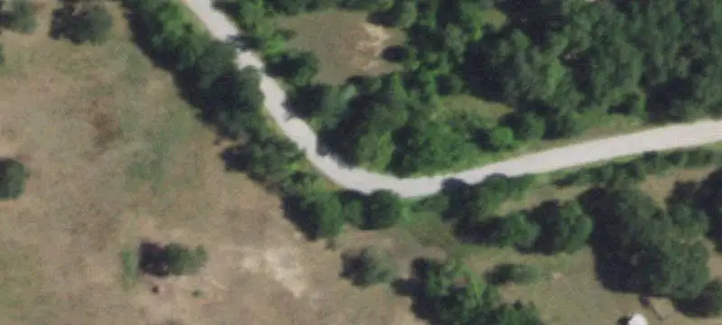 Pastureland With Scattered Trees