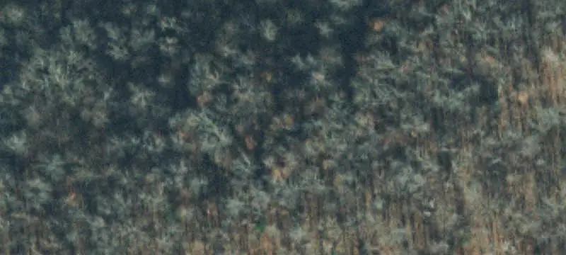 Unimproved Land
