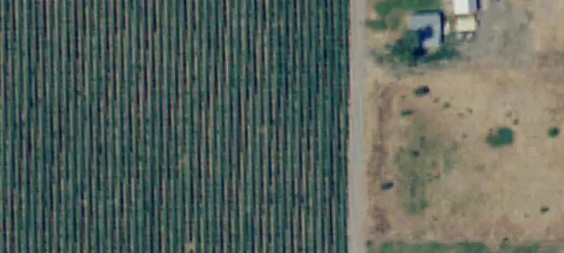 Vineyard Property with New Home