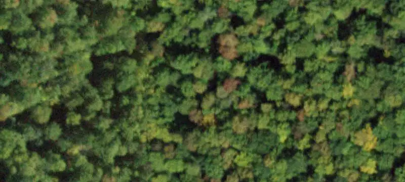 Unimproved Land
