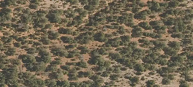 Virgin River Waterfront Land