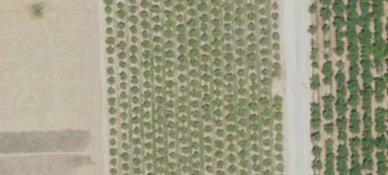 Walnut Orchard Farm