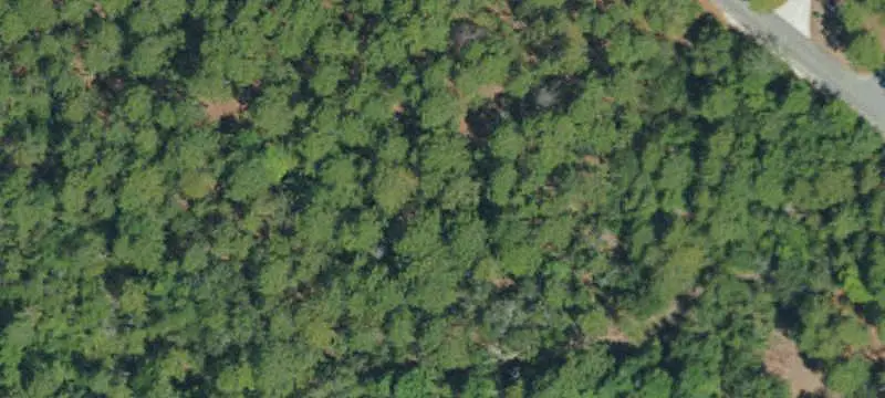 Land/Lot