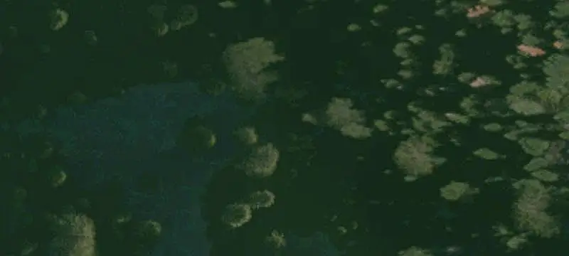 Land/Lot