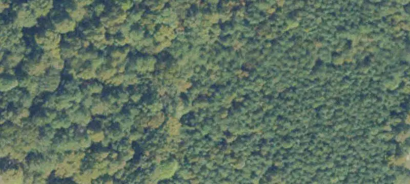Wooded Commercial Land