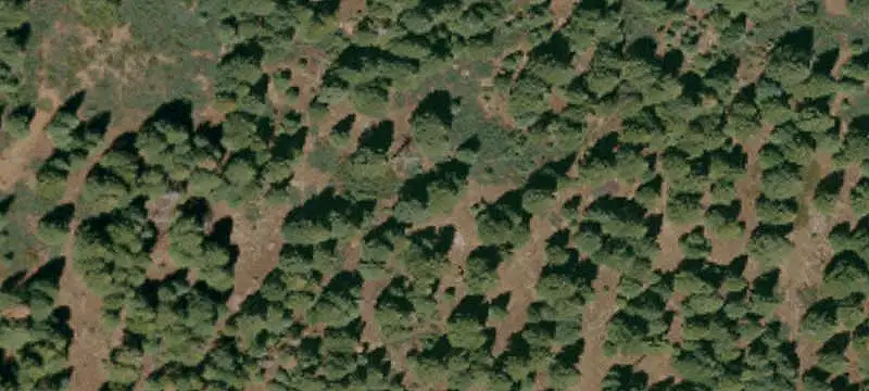 Forested Recreation Land